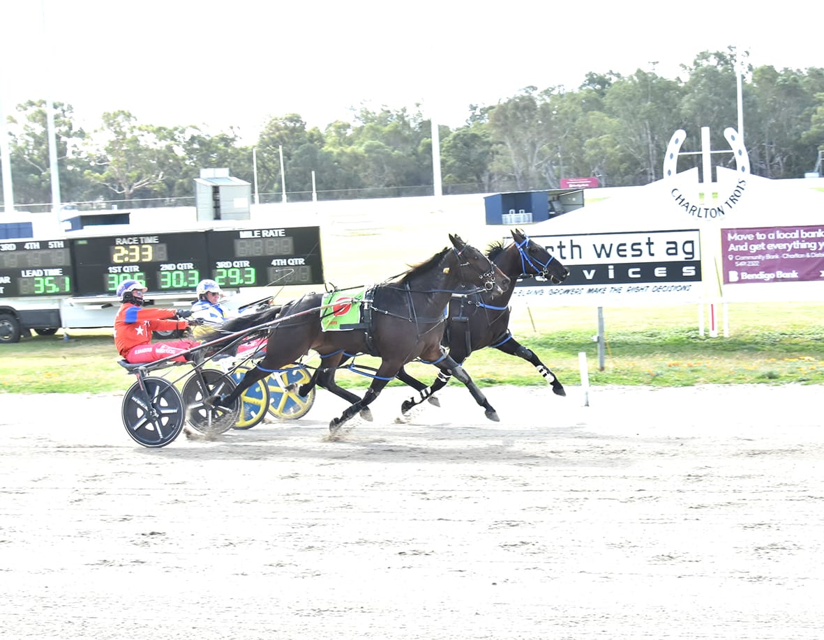 Hellava Deal Wins Djaara Pacing Cup