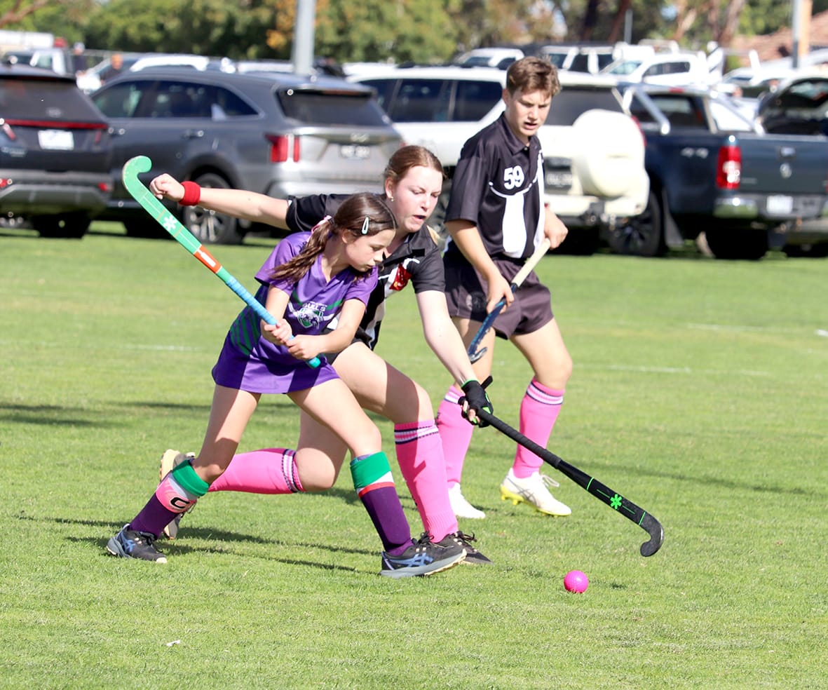 Mixed Results for Bulls and Magpies