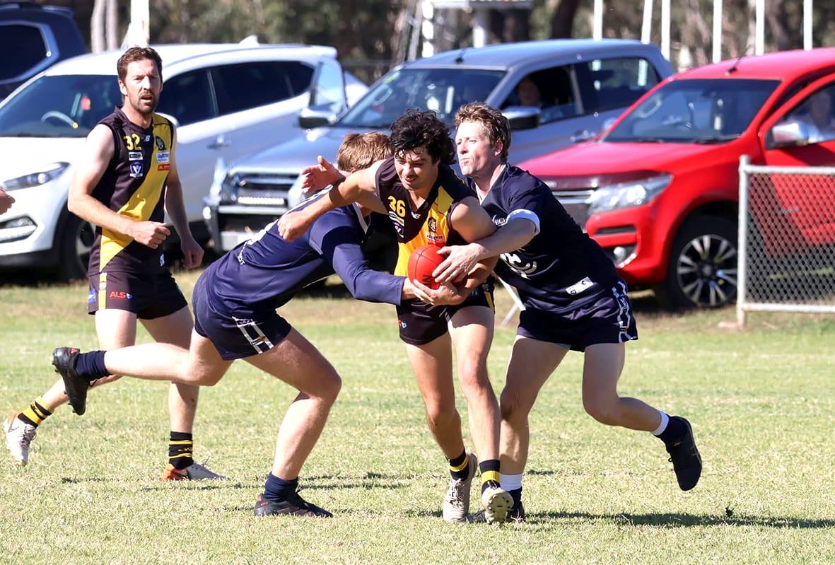 Tigers Shred the Navy Blues