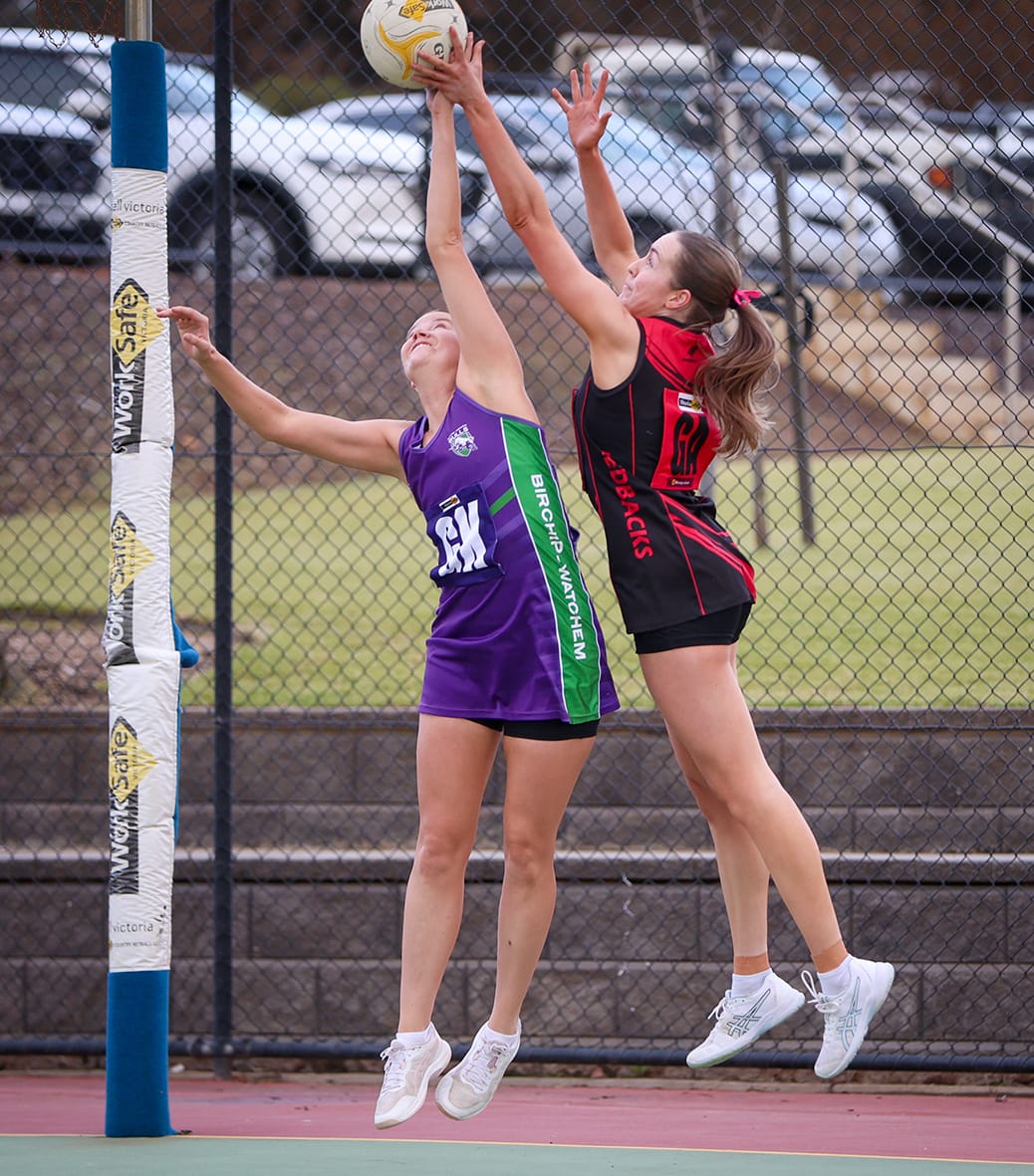 Bulls Brave the Wet at Wedderburn