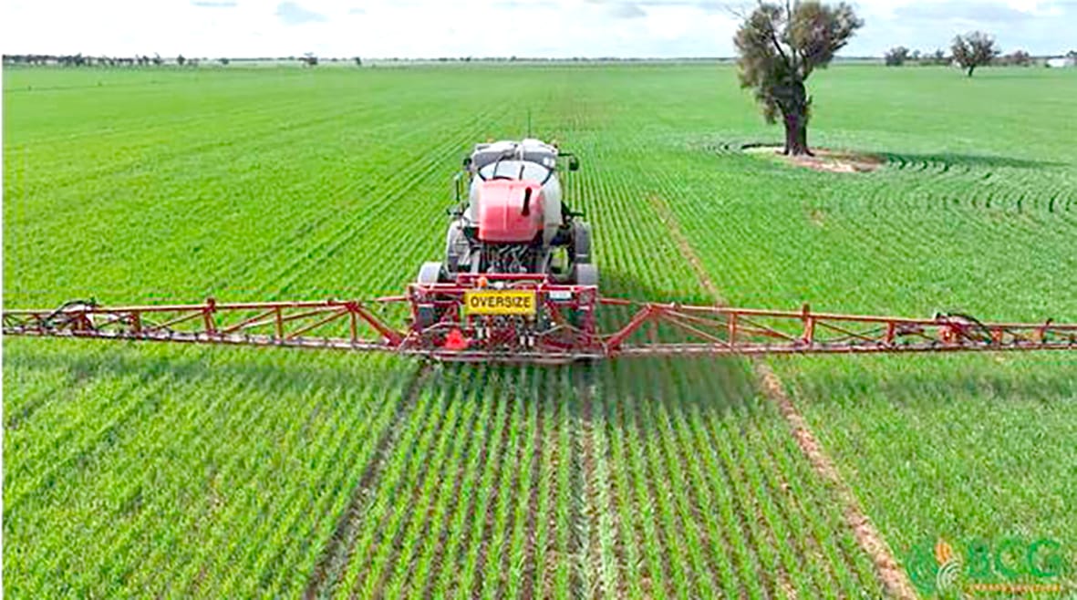 Look Before You Spray