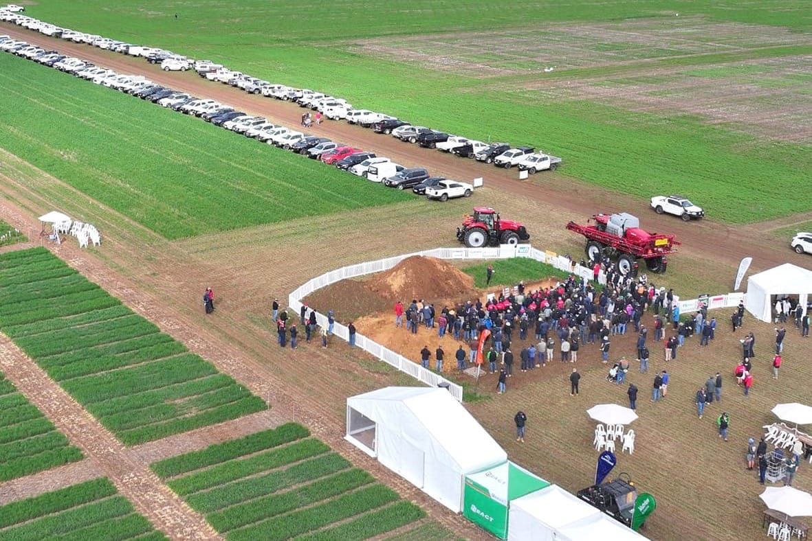 BCG Main Field Day Program Released