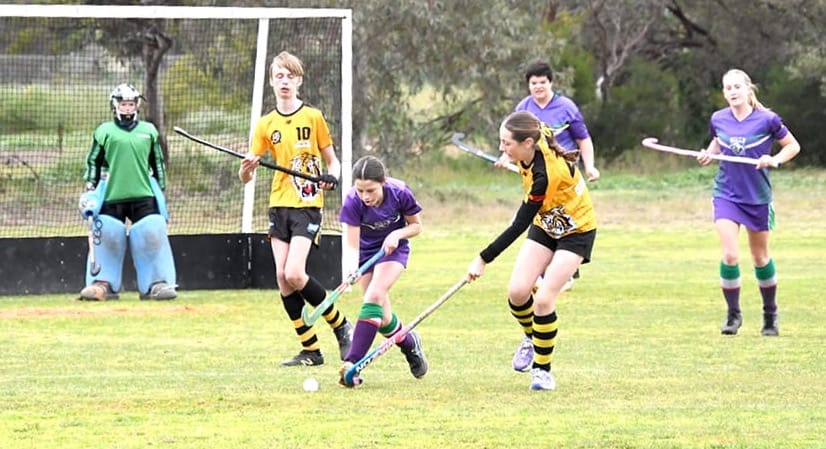 Bulls Battle Across the Grades