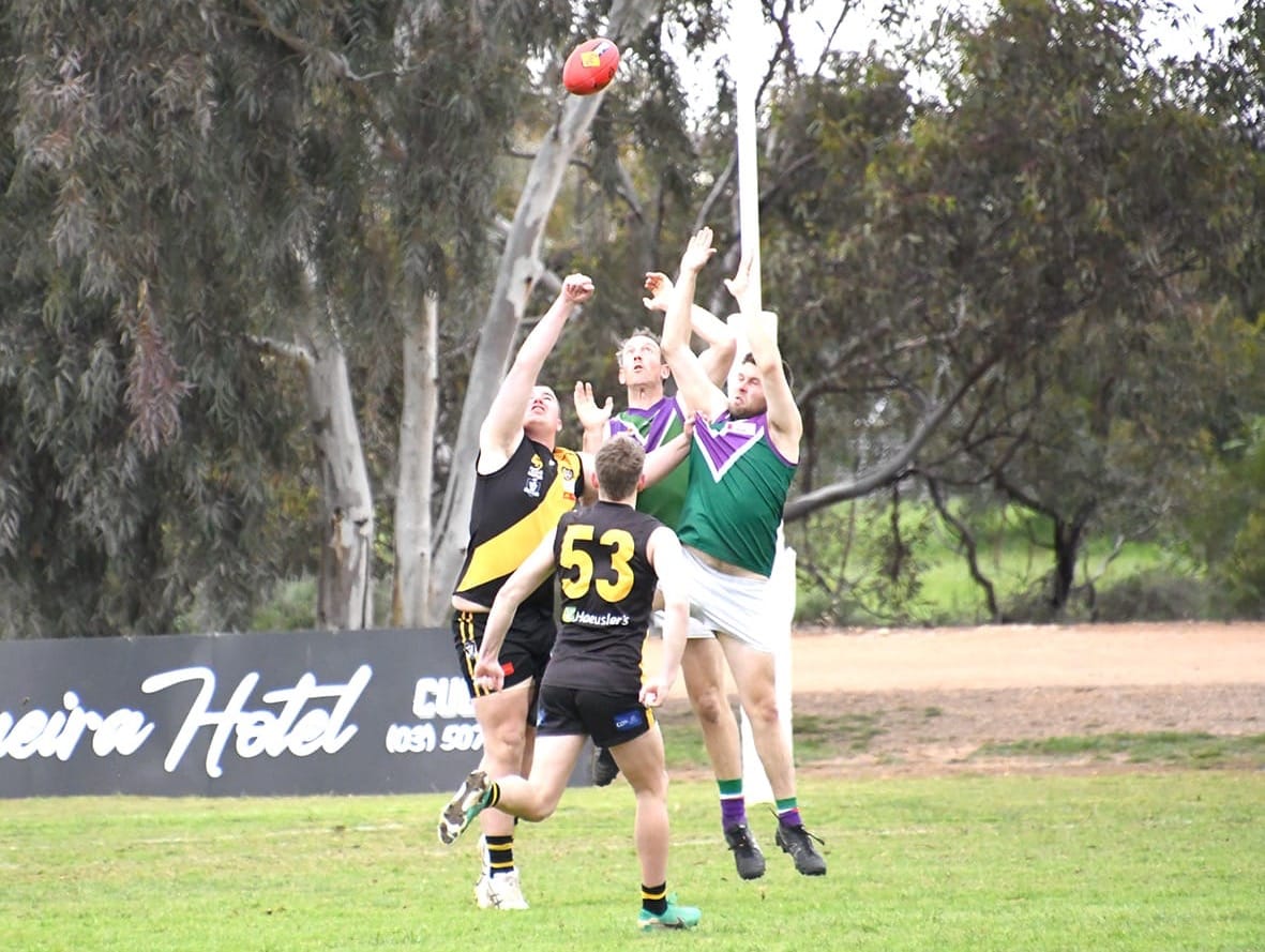 Tigers Dominate Reserves Football