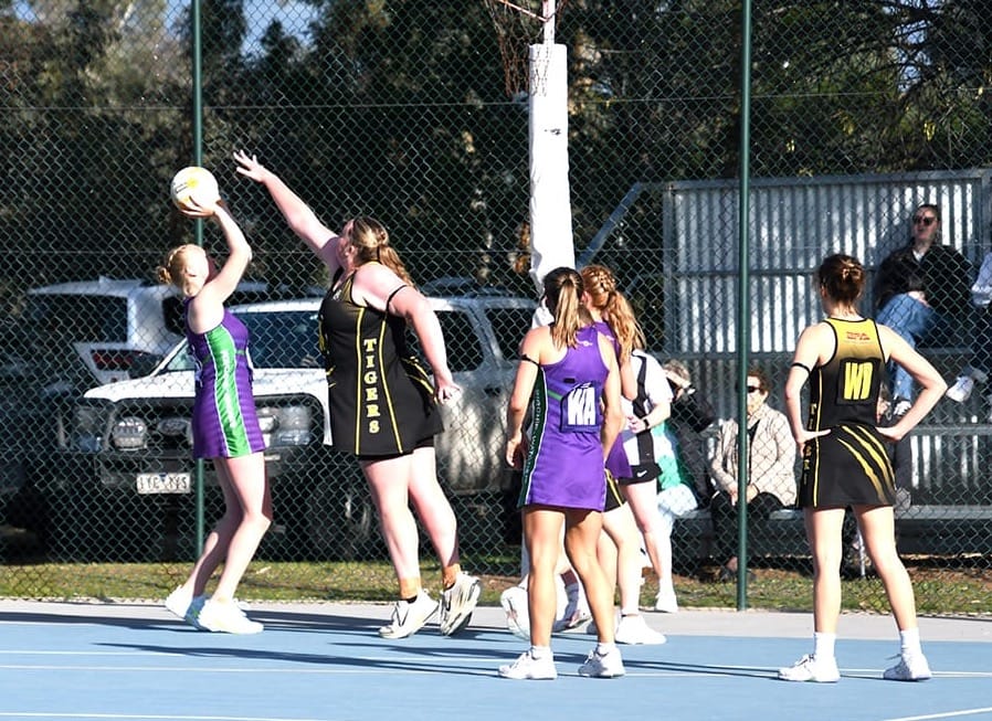 Bulls’ Netballers Build Momentum