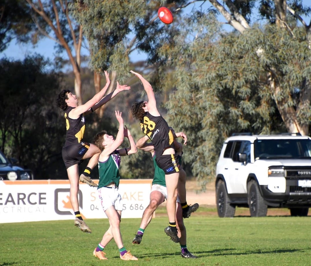 Tigers Survive Bulls’ Fightback