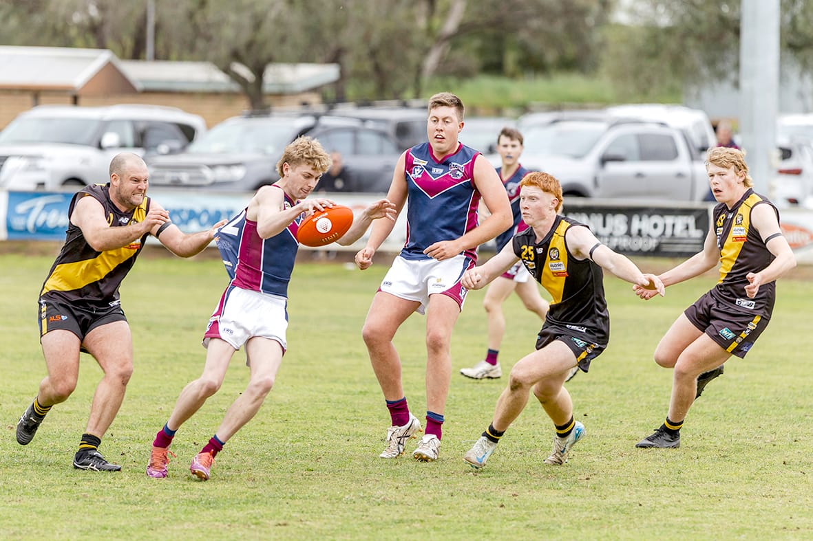 Confident Win for Determined Lions