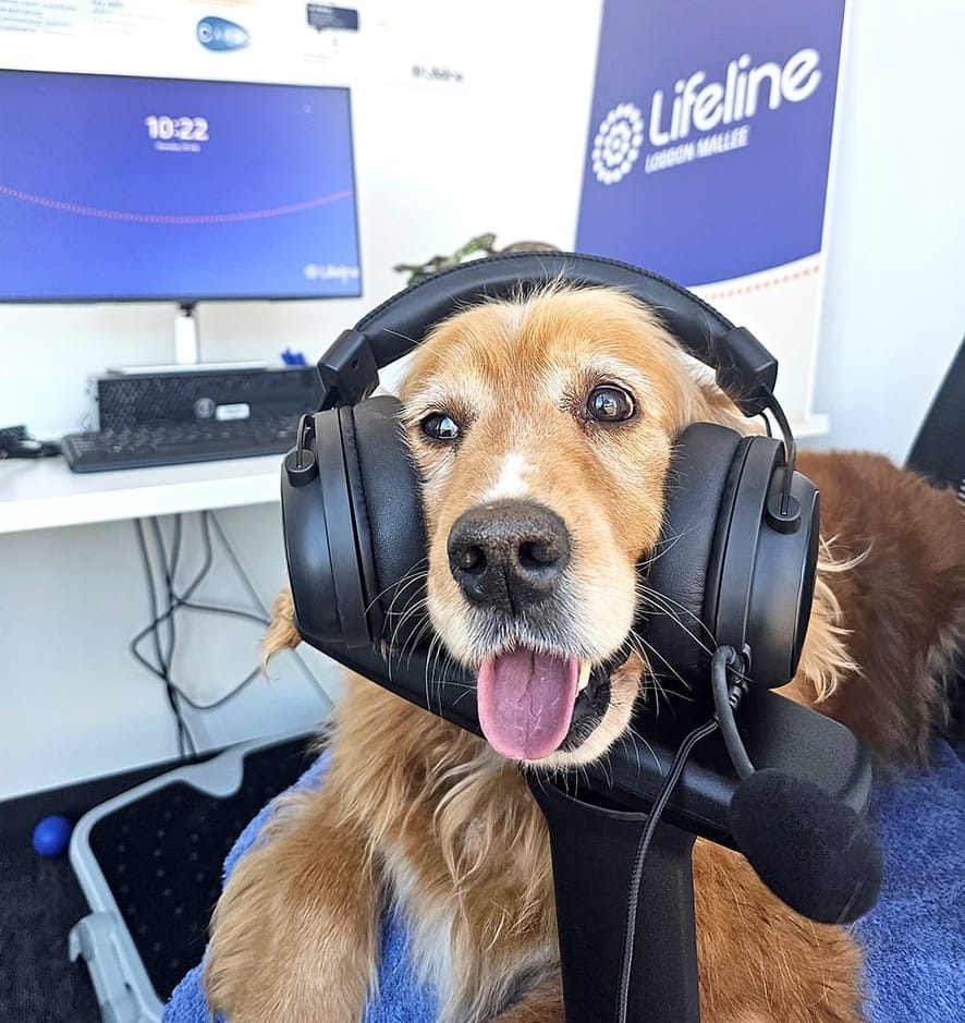 Paws for a Cause: Local Pets Help Raise Funds for Lifeline for Lifeline