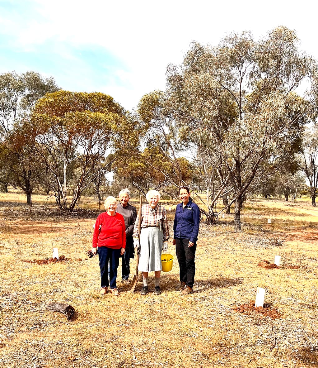 Pump Hut Reserve Blooms With New Life
