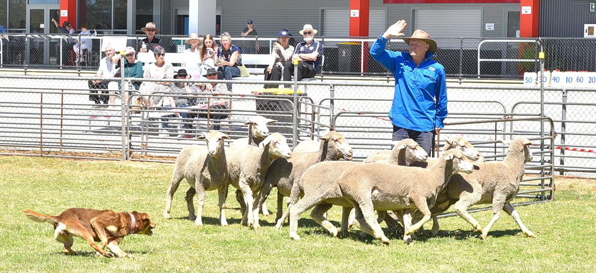 Joey Thompson’s Legacy Lives on at Charlton Show
