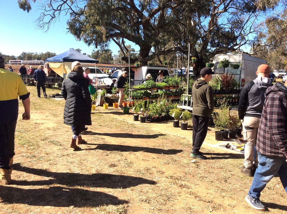Charlton Lions Swap Meet is Coming Up post image