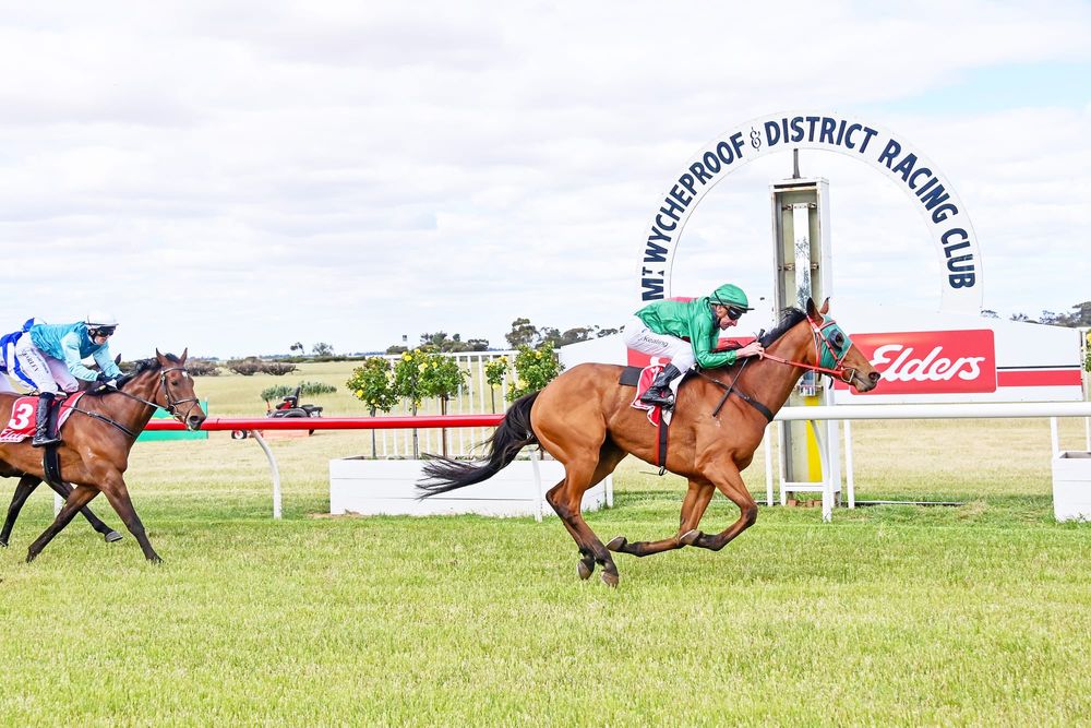 Don’t Make Me Wait Wins Mount Wycheproof Cup post image