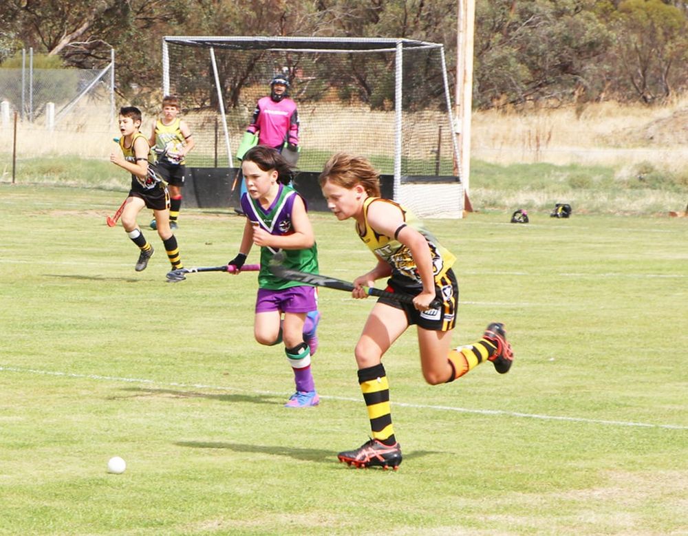 North-Central Hockey post image