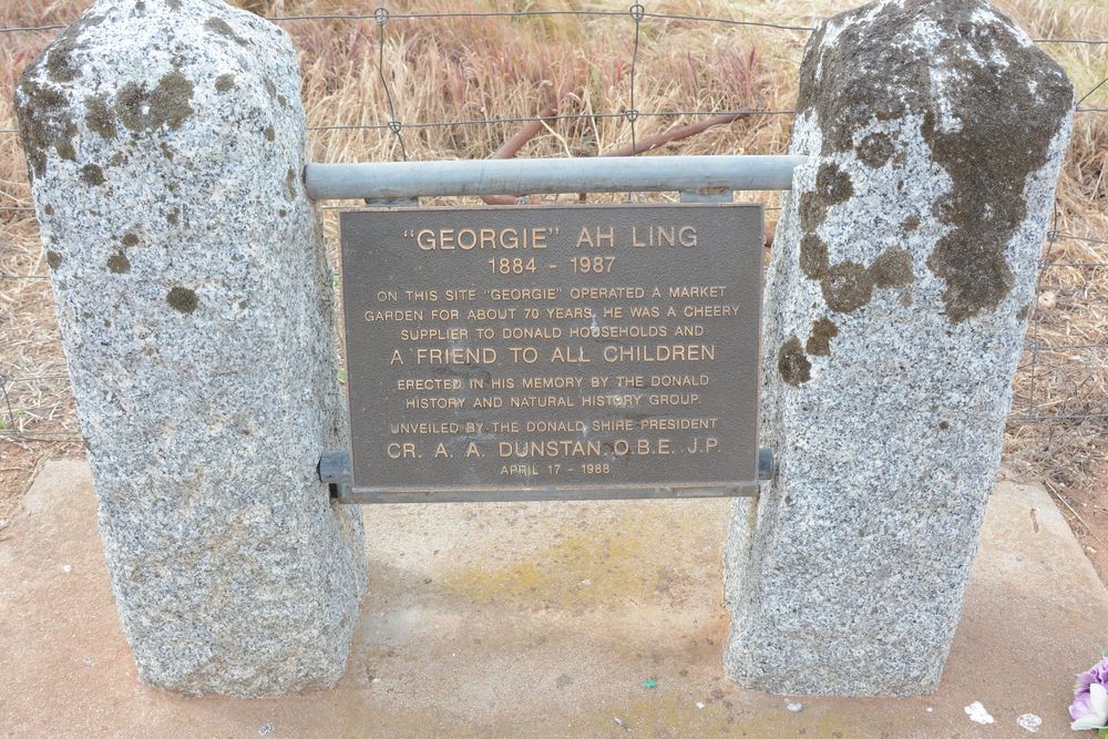 Fire Flattens the Home of “Georgie” post image