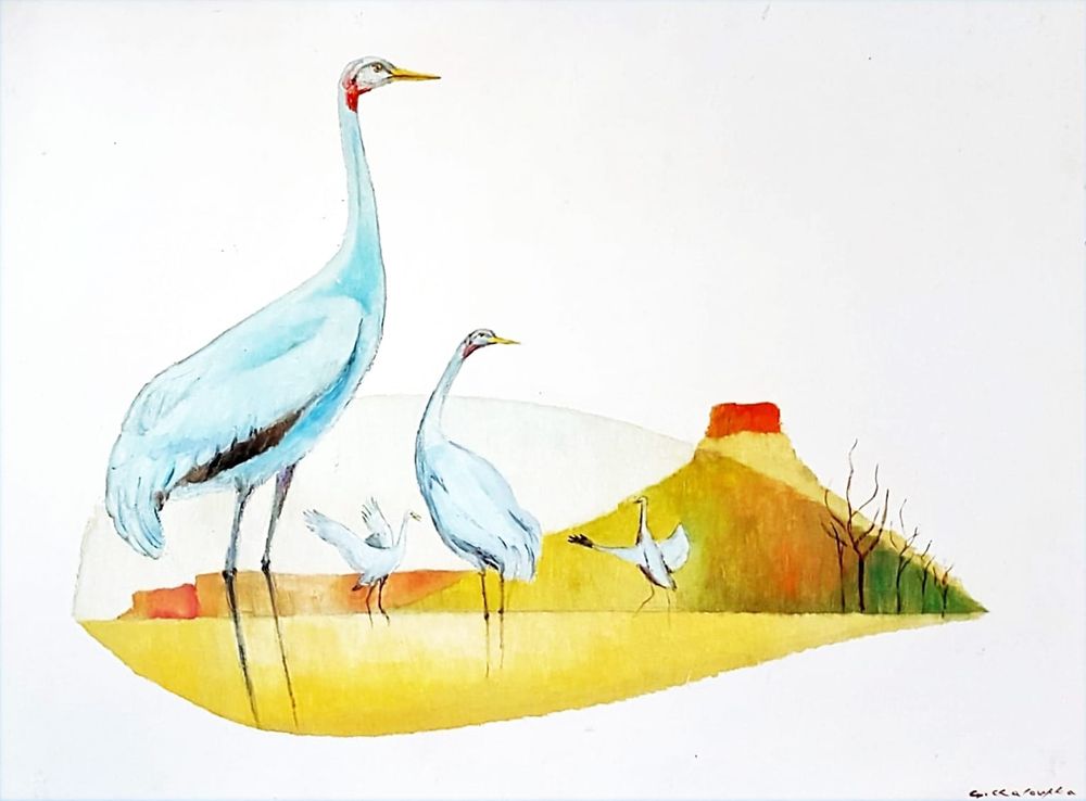 Book Review: Where the Brolgas Dance post image