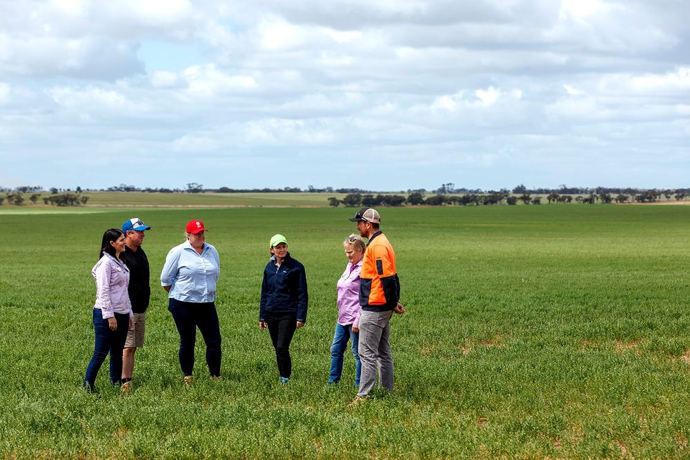 To Improve Farm Safety . . . Producers Grow Together post image