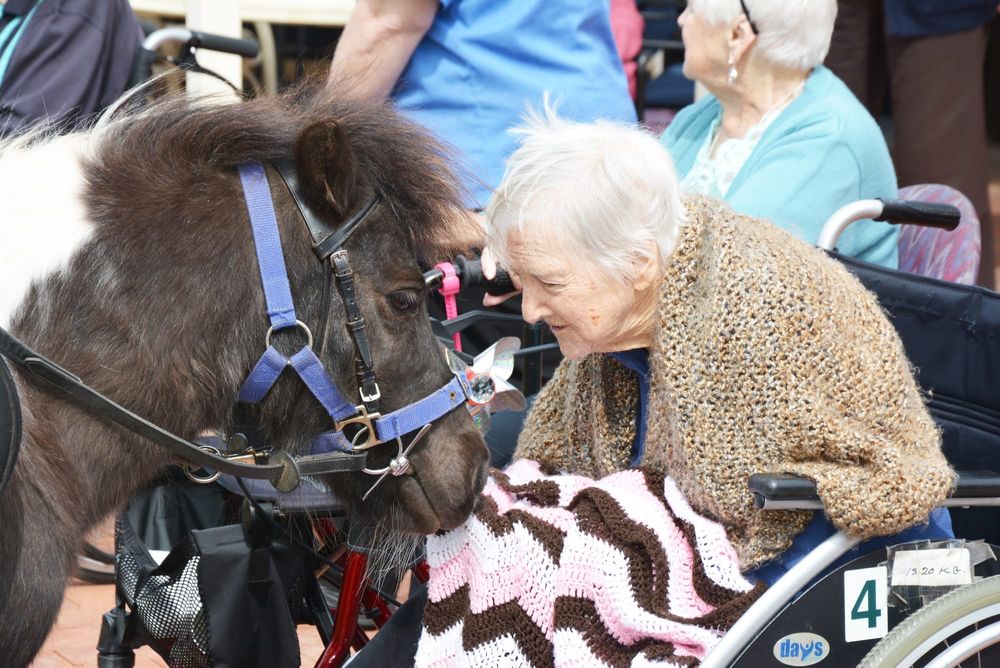 2020 Melbourne Cup Tour - Donald post image