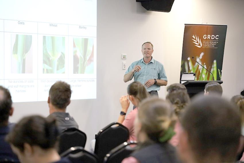 Grain Research Updates Coming to Buloke post image