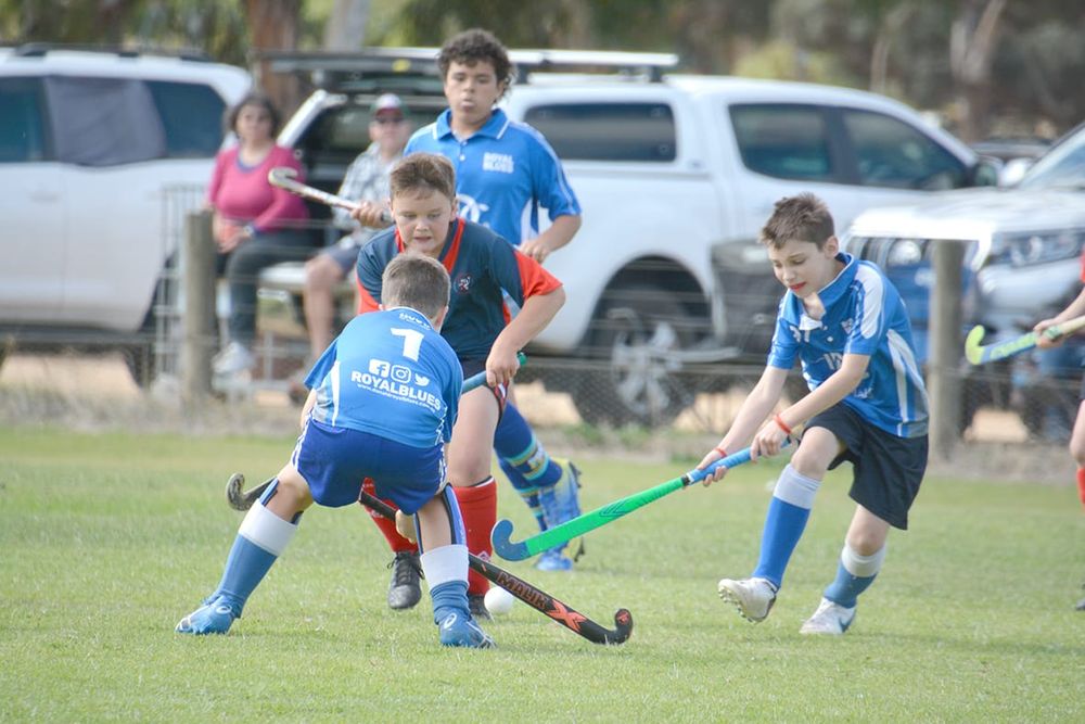 Donald Hockey post image