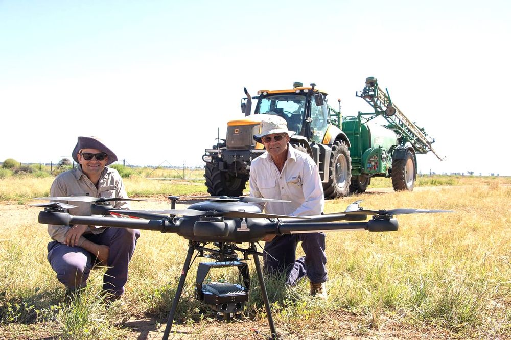 Navigating Precision Agriculture for Weed Control post image