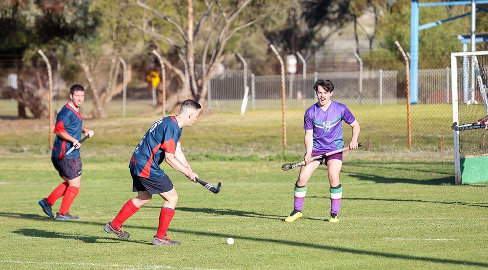 Bulls and Demons Share Hockey Honours post image