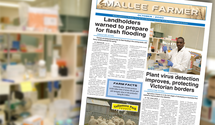 OCTOBER - Friday, October 9, 2020 post image