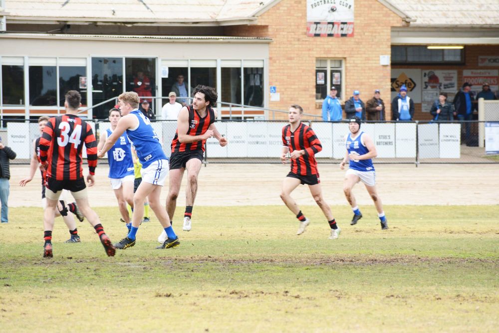 Royal Blues Equal to Redback Challenge post image