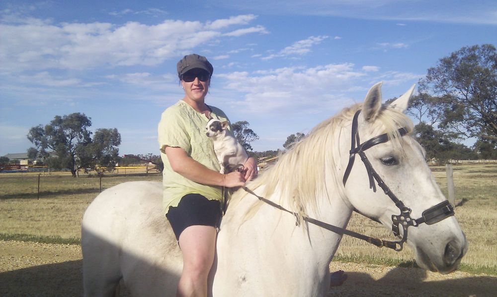 Perfect Percy post image