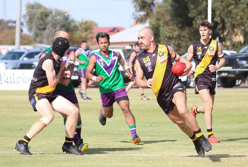 Tigers Reserves Keep Winning post image