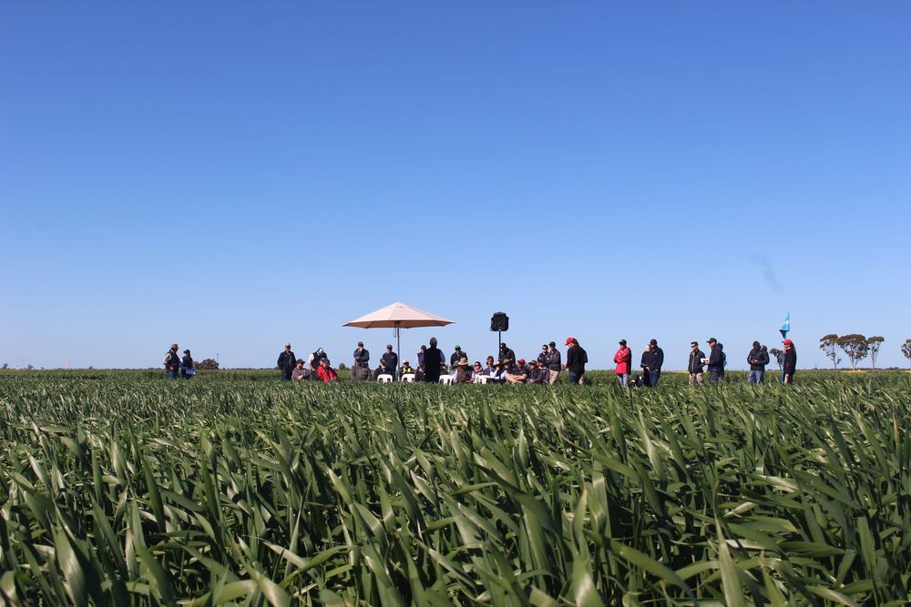 Friday, September 20, 2019 post image