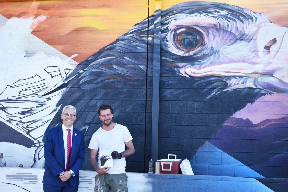 Wedderburn’s Fabulous Feathered Features post image