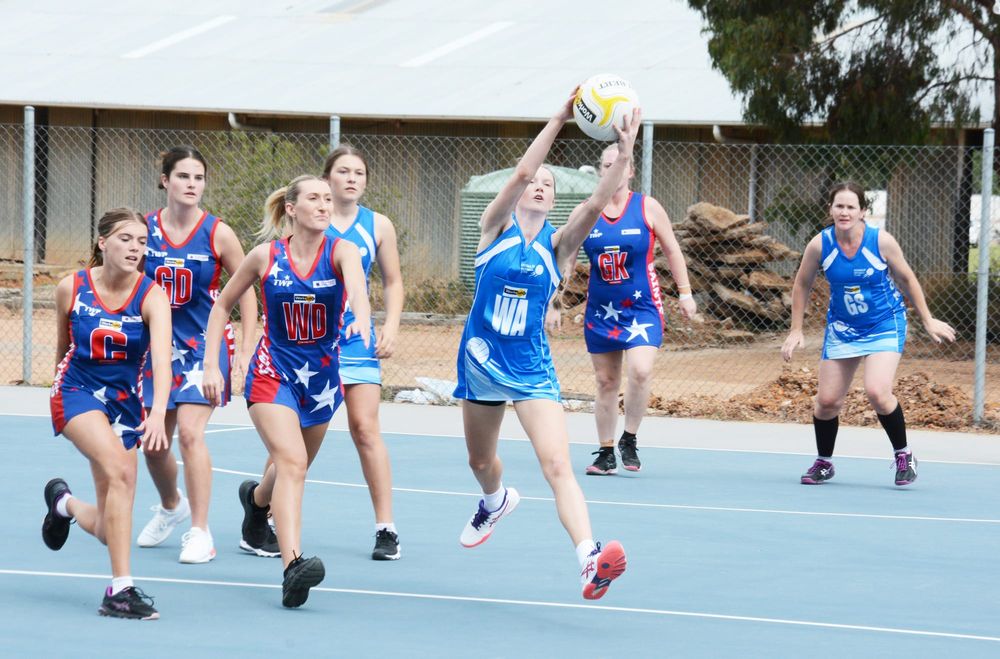 North-Central Netball post image