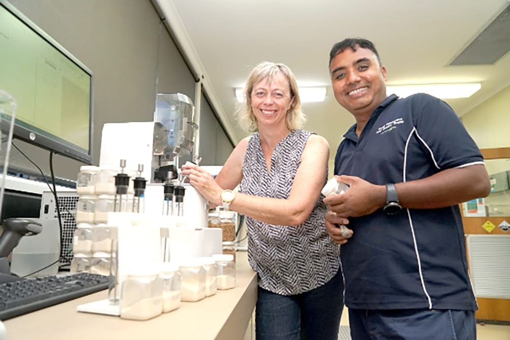 Research: Wheat Falling Number May Improve After Storage post image