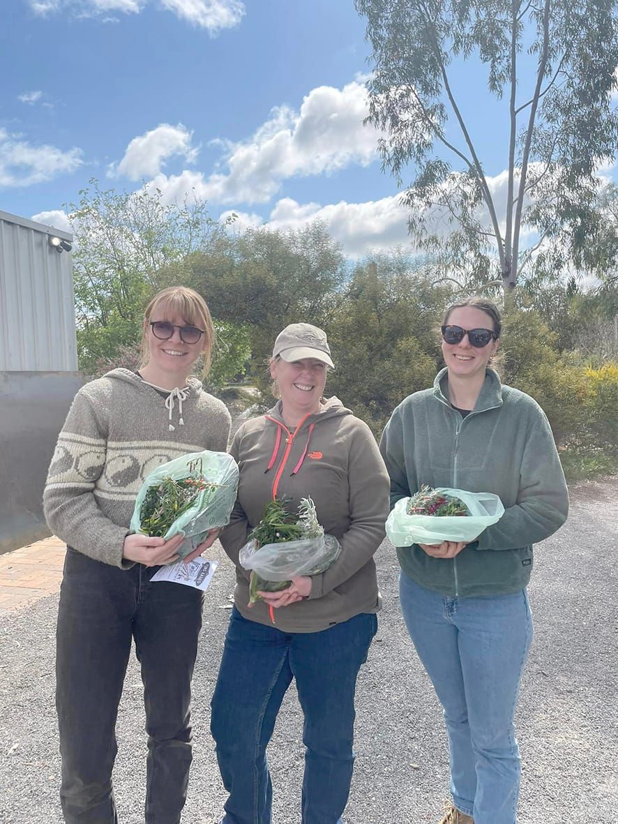 Landcare Group Visits Artefacts Museum post image
