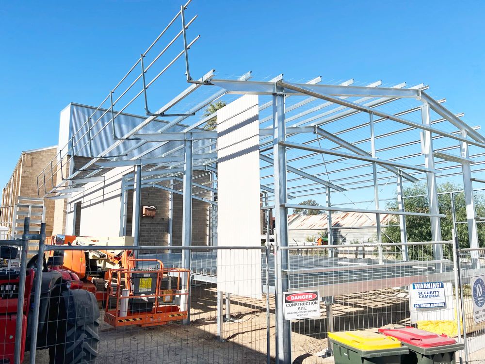 Rex Revealed post image