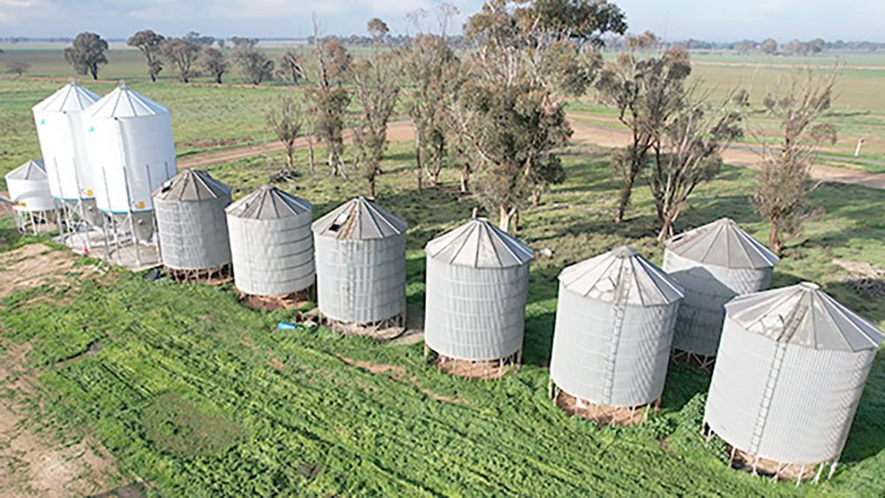 Safeguard Grain with Gas-tight Storage post image
