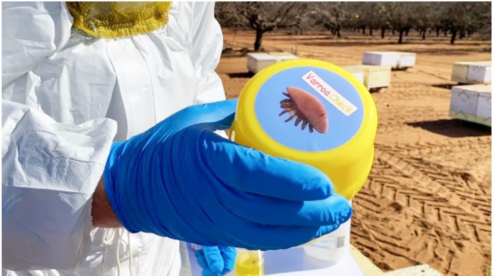 Varroa Mite Information . . . The Alcohol Wash post image
