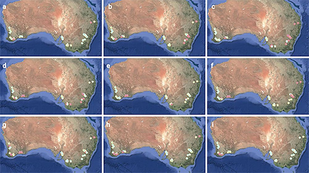 Early Alert System for Crop Disease Infection post image