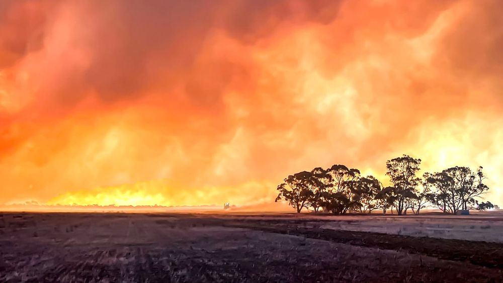 Fire Season Officially Begins post image