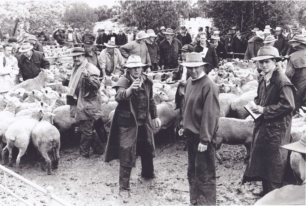 And It Wasn’t Even Winter! post image