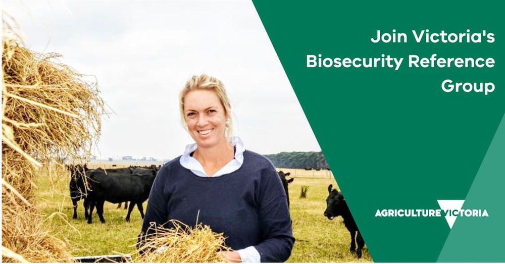 Help Shape the Future of Biosecurity in Victoria post image