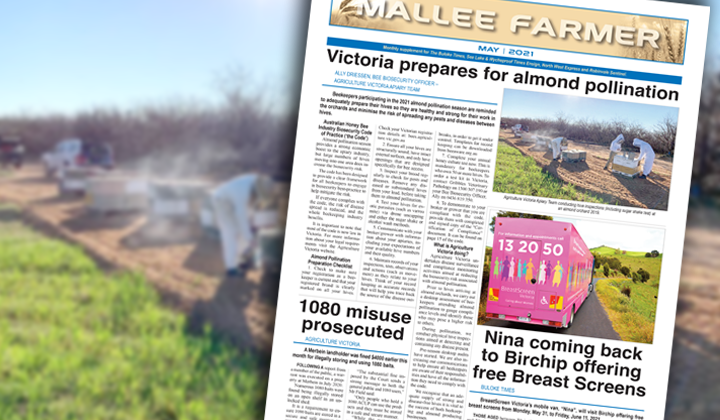 MAY - Friday, May 21, 2021 post image