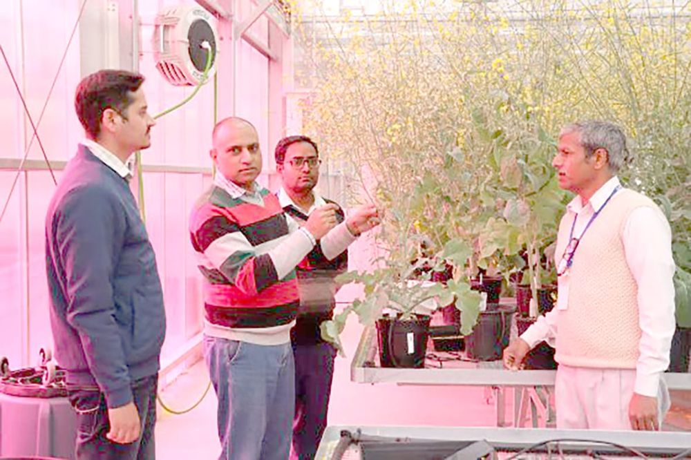 India Science Exchange Thriving at Horsham post image