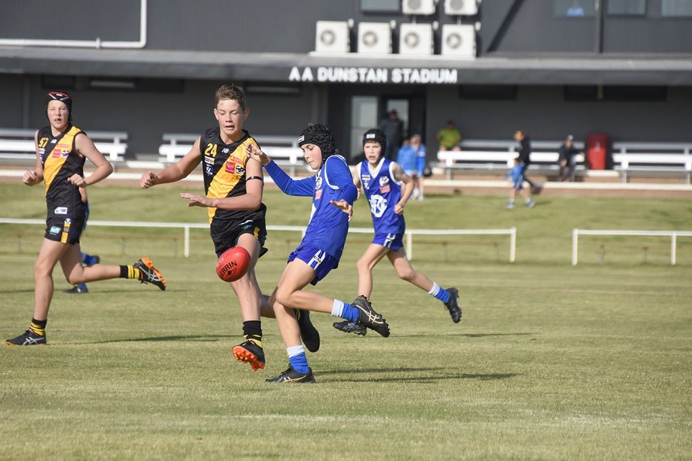 Under-14s Give the Tigers a Clean Sweep post image
