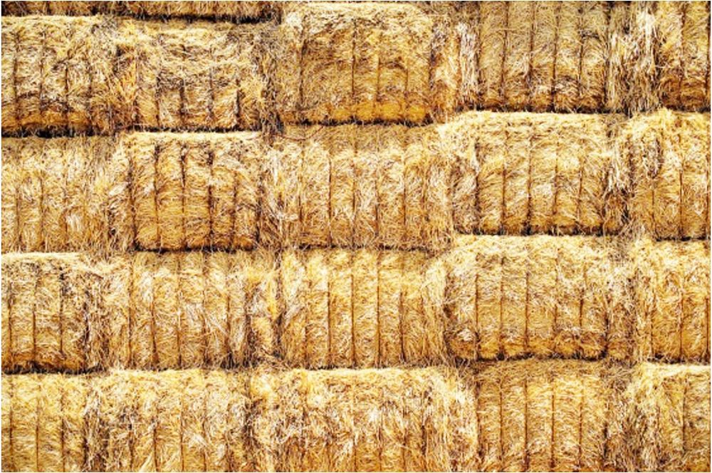 Hay Baling: Watch Moisture Levels post image