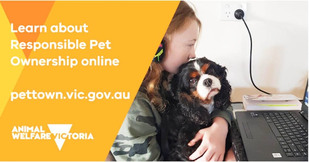Pet Ownership Program Online post image