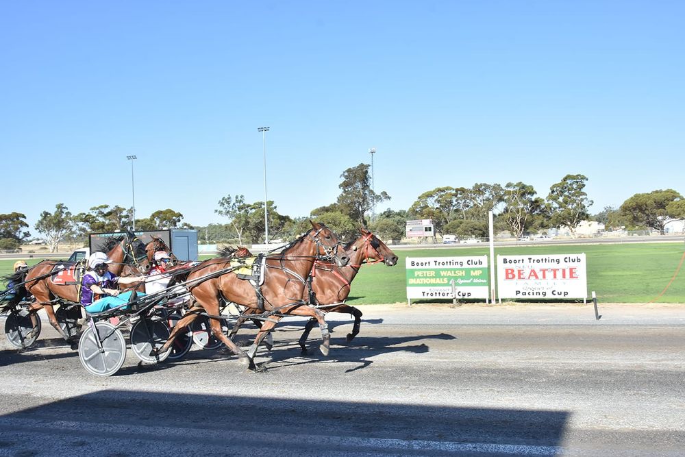 Early Start at Birchip Trots post image