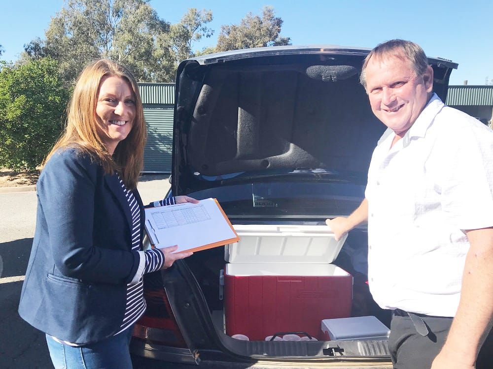 Friday, March 15, 2019 post image