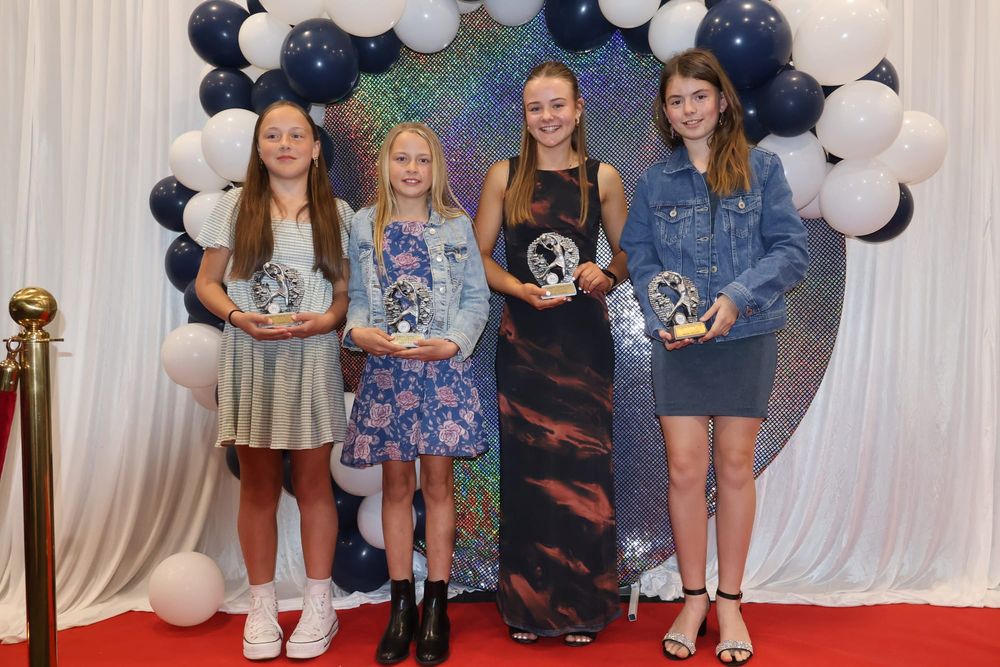 Navies Netball Vote Count post image