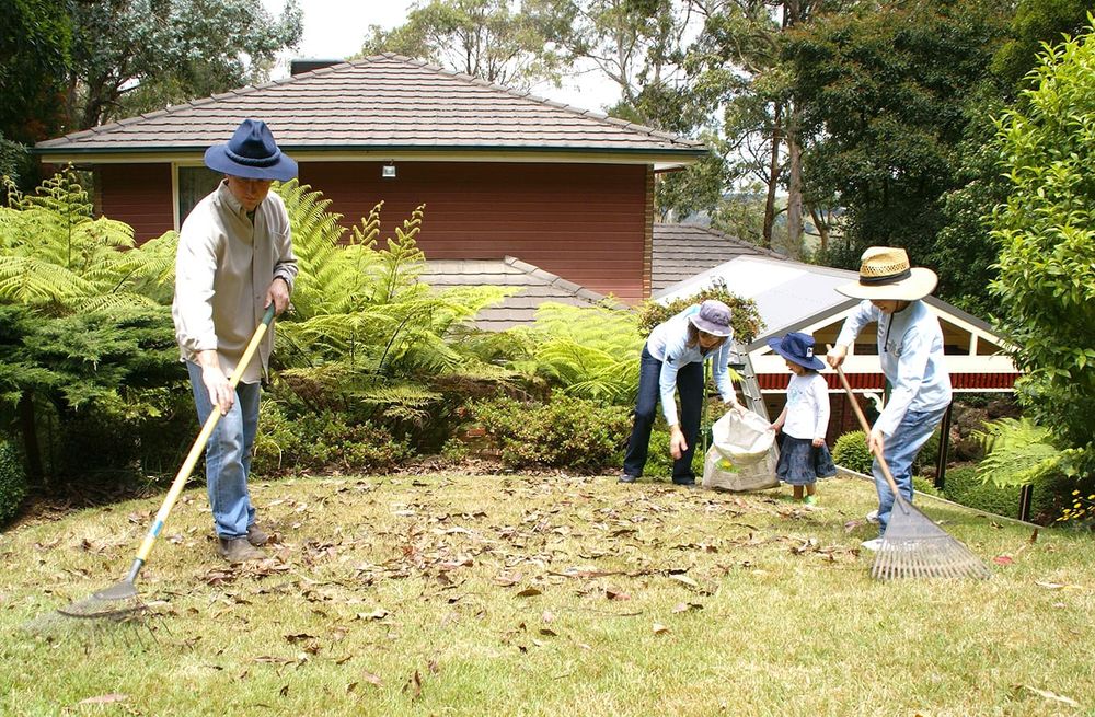 Tree Changers Urged to Get Fire Ready post image